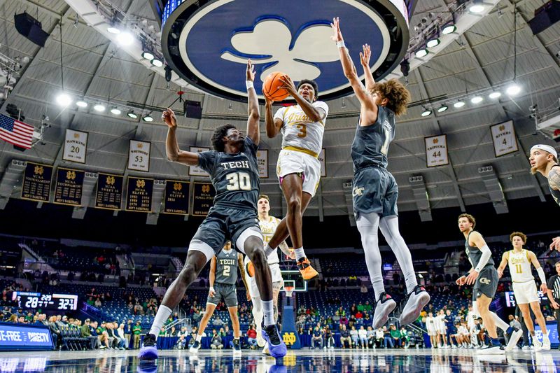 Notre Dame Fighting Irish vs Georgia Tech Yellow Jackets: Tommy Ahneman Ready to Shine