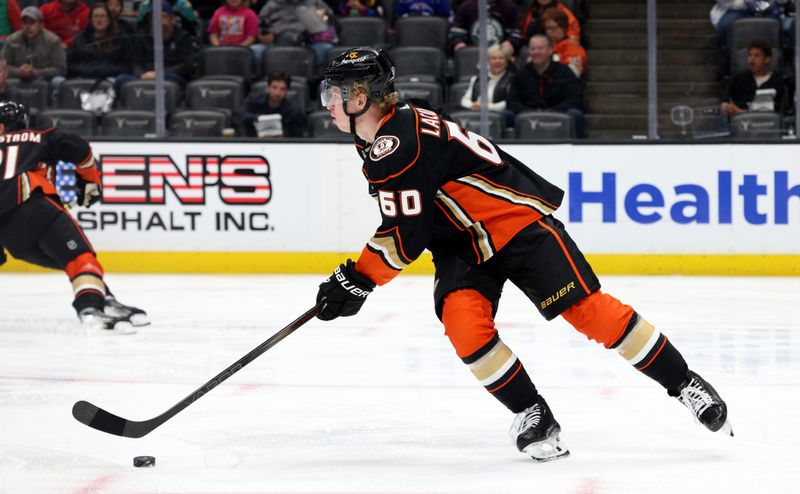 Mar 24, 2024; Anaheim, California, USA; Anaheim Ducks defenseman Jackson LaCombe (60) skates with the puck during the first period against the Tampa Bay Lightning at Honda Center. Mandatory Credit: Jason Parkhurst-USA TODAY Sports