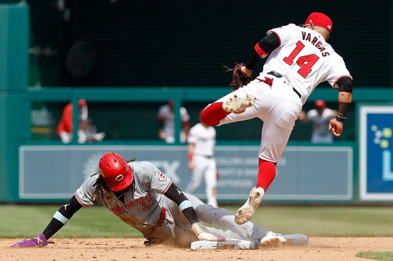 Jul 21, 2024; Washington, District of Columbia, USA; Cincinnati Reds shortstop Elly De La Cruz (44) steals second base ahead of a throw to Washington Nationals second base Ildemaro Vargas (14) during the eighth inning at Nationals Park. Mandatory Credit: Geoff Burke-USA TODAY Sports