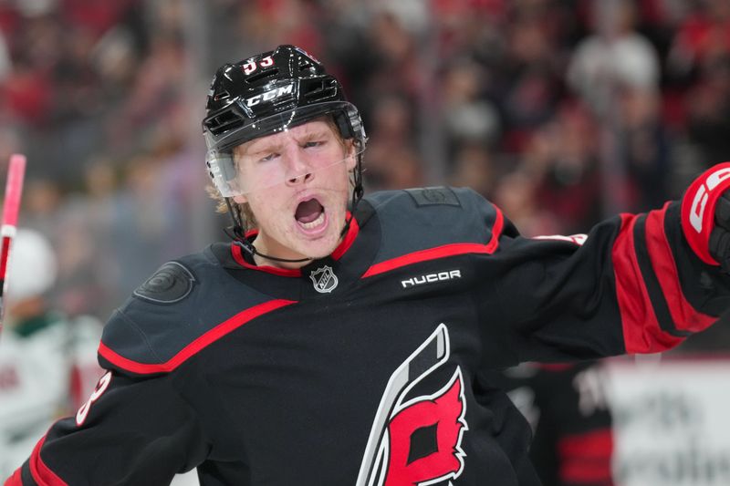 Nov 6, 2025; Raleigh, North Carolina, USA;  Carolina Hurricanes right wing Jackson Blake (53) celebrates his goal against the Minnesota Wild during the first period at Lenovo Center. Mandatory Credit: James Guillory-Imagn Images