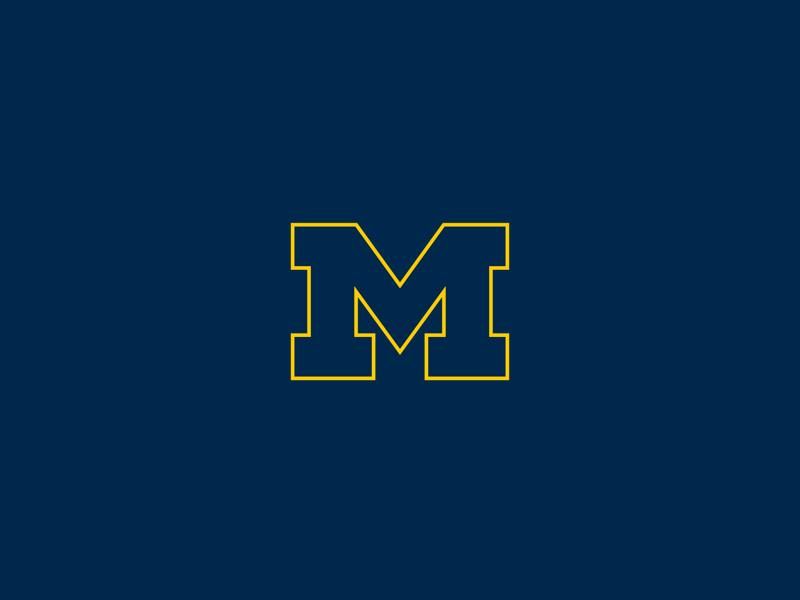 Florida A&M Lady Rattlers VS Michigan Wolverines