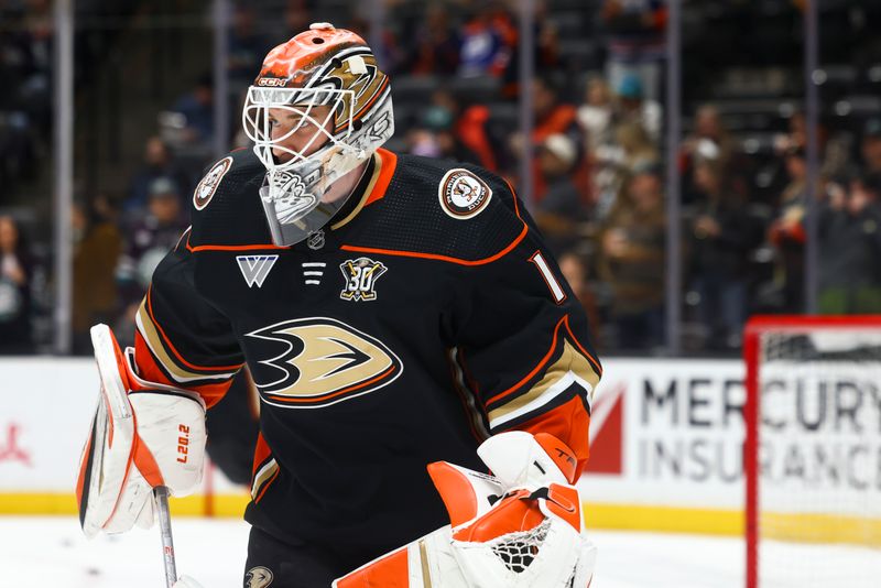 Feb 9, 2024; Anaheim, California, USA; Anaheim Ducks goaltender Lukas Dostal (1) looks on before a game against the Edmonton Oilers at Honda Center. Mandatory Credit: Jessica Alcheh-USA TODAY Sports