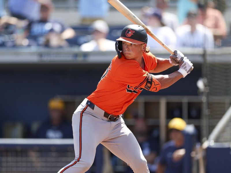 Mar 15, 2024; Port Charlotte, Florida, USA;  Baltimore Orioles shortstop Jackson Holliday (87) at bat against the Tampa Bay Rays in the fourth inning at Charlotte Sports Park. Mandatory Credit: Nathan Ray Seebeck-USA TODAY Sports