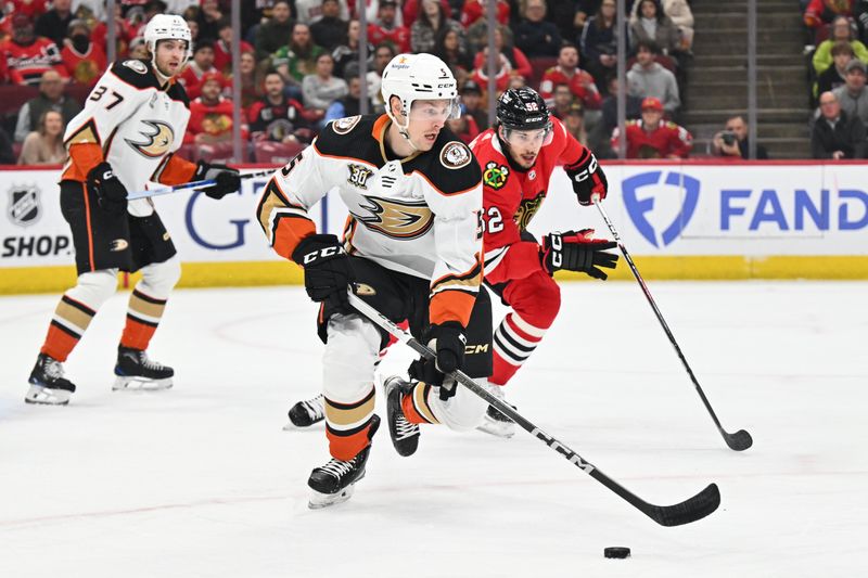 Mar 12, 2024; Chicago, Illinois, USA; Anaheim Ducks defenseman Urho Vaakanainen (5) takes control of the puck in front of Chicago Blackhawks forward Reese Johnson (52) in the first period at United Center. Mandatory Credit: Jamie Sabau-USA TODAY Sports