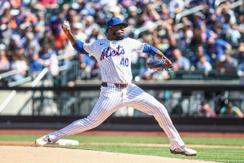 Sep 8, 2024; New York City, New York, USA;  New York Mets starting pitcher Luis Severino (40) pitches in the first inning against the Cincinnati Reds at Citi Field. Mandatory Credit: Wendell Cruz-Imagn Images