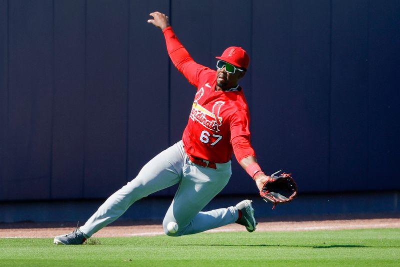 Feb 28, 2023; West Palm Beach, Florida, USA; St. Louis Cardinals left fielder Jordan Walker (67) dives in an attempt to take out Washington Nationals designated hitter Matt Adams (not pictured) during the fifth inning at The Ballpark of the Palm Beaches. Mandatory Credit: Sam Navarro-USA TODAY Sports