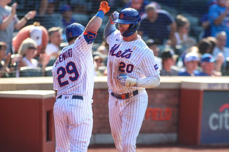 Sep 3, 2023; New York City, New York, USA;  New York Mets first baseman Pete Alonso (20) is greeted by right fielder DJ Stewart (29) after hitting a solo home run in the seventh inning against the Seattle Mariners at Citi Field. Mandatory Credit: Wendell Cruz-USA TODAY Sports