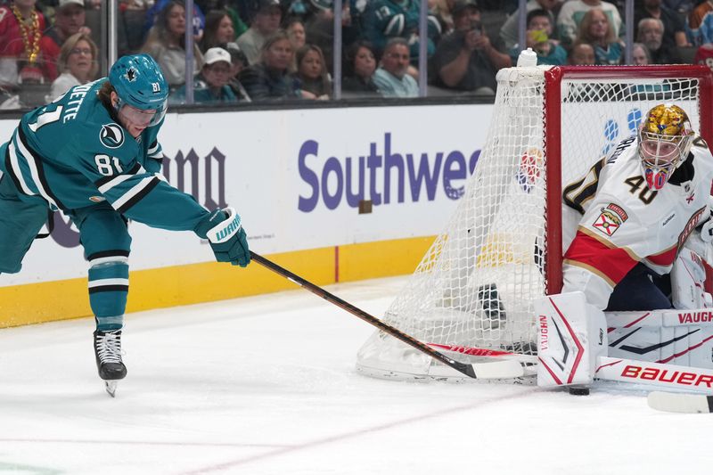Nov 8, 2025; San Jose, California, USA; San Jose Sharks right wing Adam Gaudette (81) shoots against Florida Panthers goaltender Daniil Tarasov (40) during the second period at SAP Center at San Jose. Mandatory Credit: Darren Yamashita-Imagn Images