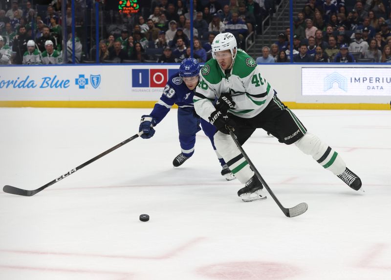 Oct 30, 2025; Tampa, Florida, USA; Dallas Stars defenseman Ilya Lyubushkin (46) skates with the puck as Tampa Bay Lightning right wing Pontus Holmberg (29) defends during the first period at Benchmark International Arena. Mandatory Credit: Kim Klement Neitzel-Imagn Images