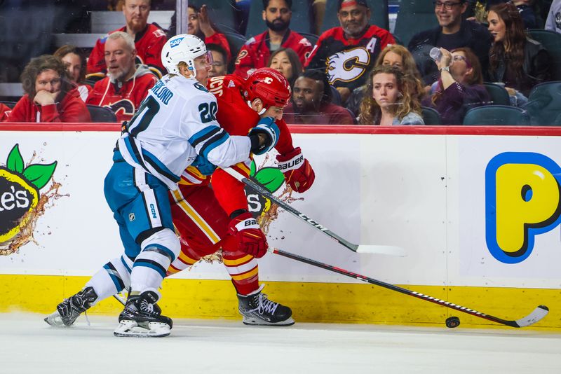 Apr 12, 2023; Calgary, Alberta, CAN; Calgary Flames left wing Milan Lucic (17) and San Jose Sharks left wing Fabian Zetterlund (20) battle for the puck during the third period at Scotiabank Saddledome. Mandatory Credit: Sergei Belski-USA TODAY Sports