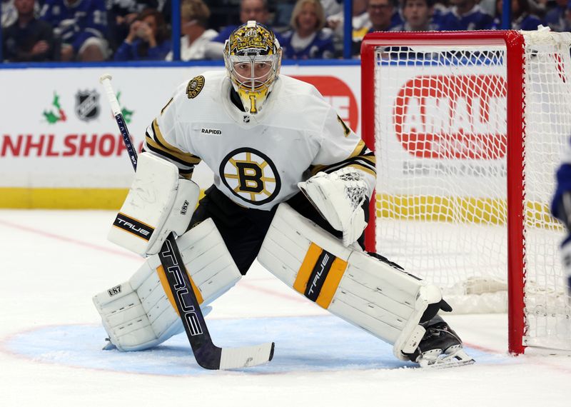 Nov 20, 2023; Tampa, Florida, USA; Boston Bruins goaltender Jeremy Swayman (1) looks on against the Tampa Bay Lightning during the first period at Amalie Arena. Mandatory Credit: Kim Klement Neitzel-USA TODAY Sports