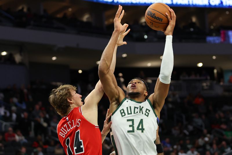 MILWAUKEE, WISCONSIN - OCTOBER 14: Giannis Antetokounmpo #34 of the Milwaukee Bucks is defended by Matas Buzelis #14 of the Chicago Bulls during the second half of a preseason game at Fiserv Forum on October 14, 2024 in Milwaukee, Wisconsin.  NOTE TO USER: User expressly acknowledges and agrees that, by downloading and or using this photograph, User is consenting to the terms and conditions of the Getty Images License Agreement. (Photo by Stacy Revere/Getty Images)