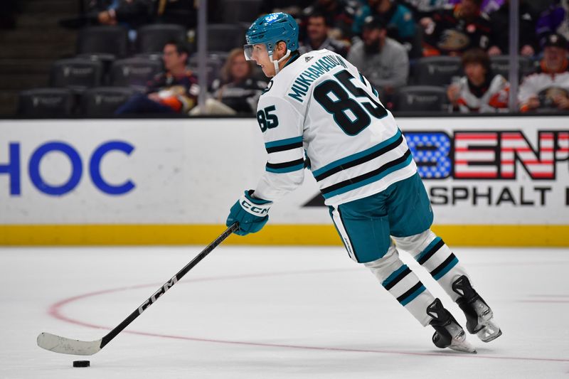 Jan 31, 2024; Anaheim, California, USA; San Jose Sharks defenseman Shakir Mukhamadullin (85) controls the puck against the Anaheim Ducks during the overtime period at Honda Center. Mandatory Credit: Gary A. Vasquez-USA TODAY Sports