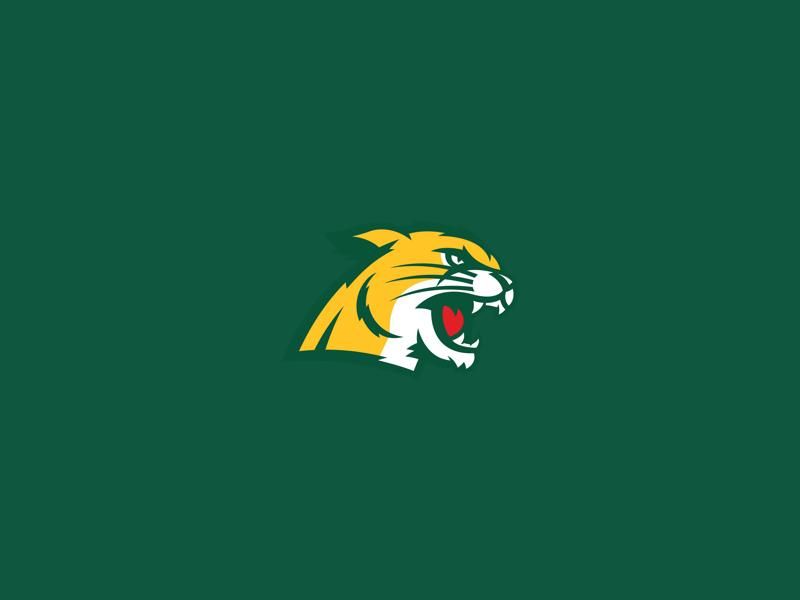 Northern Michigan Wildcats VS Augustana Vikings