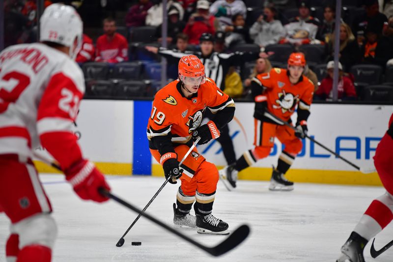 Nov 15, 2024; Anaheim, California, USA; Anaheim Ducks right wing Troy Terry (19) moves in for a shot on goal against the Detroit Red Wings during the second period at Honda Center. Mandatory Credit: Gary A. Vasquez-Imagn Images