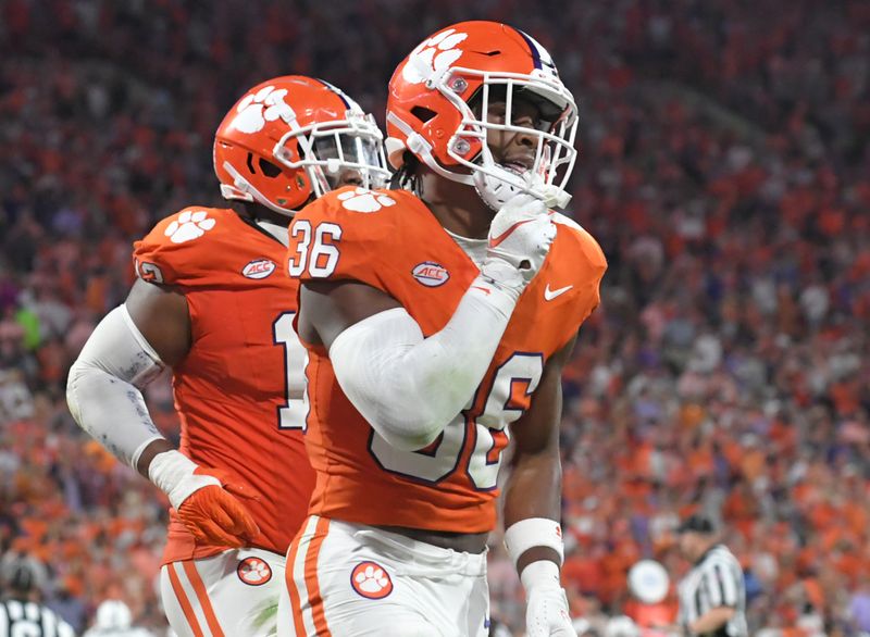Sep 16, 2023; Clemson, South Carolina; Clemson kicker Quinn Castner (36) reacts after picking up a loose ball against Florida Atlantic during the second quarter against Florida Atlantic at Memorial Stadium.  Mandatory Credit: Ken Ruinard-USA TODAY NETWORK