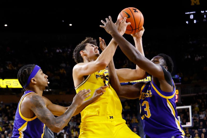 Dec 29, 2025; Ann Arbor, Michigan, USA;  Michigan Wolverines center Aday Mara (15) is defended by McNeese Cowboys guard DJ Richards Jr. (2) and guard Carl Cherenfant (23) in the first half at Crisler Center. Mandatory Credit: Rick Osentoski-Imagn Images