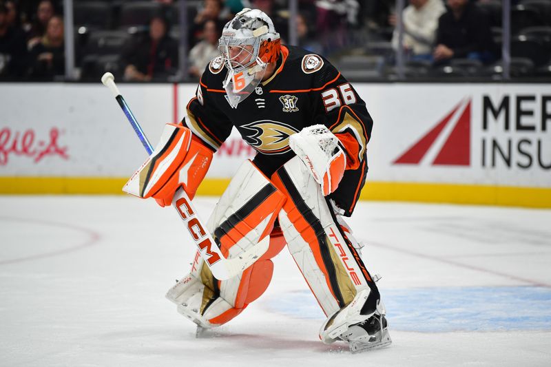 Anaheim Ducks' Rising Star to Shine in Faceoff Against Utah Hockey Club