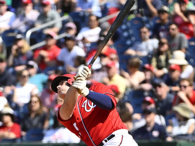 May 21, 2023; Washington, District of Columbia, USA; Washington Nationals catcher Riley Adams (15) hits a double against the Detroit Tigers during the eighth inning at Nationals Park. Mandatory Credit: Brad Mills-USA TODAY Sports