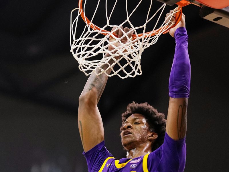 Feb 1, 2023; Columbia, Missouri, USA; LSU Tigers forward Derek Fountain (20) dunks during the second half against the Missouri Tigers at Mizzou Arena. Mandatory Credit: Jay Biggerstaff-USA TODAY Sports