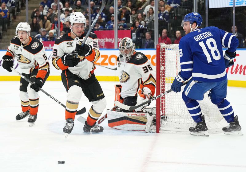 Feb 17, 2024; Toronto, Ontario, CAN; Toronto Maple Leafs center Noah Gregor (18) battles for the puck with Anaheim Ducks center Mason McTavish (23) during the third period at Scotiabank Arena. Mandatory Credit: Nick Turchiaro-USA TODAY Sports