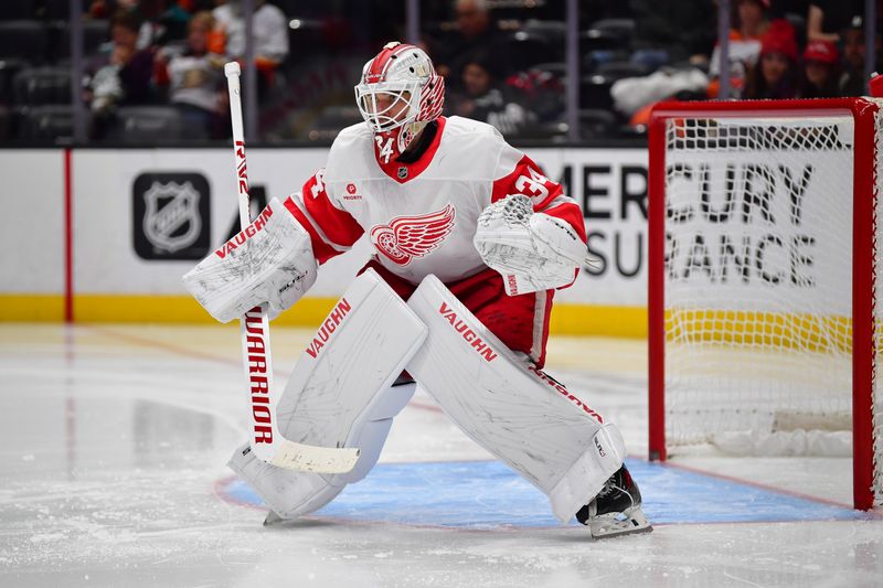 Nov 15, 2024; Anaheim, California, USA; Detroit Red Wings goaltender Alex Lyon (34) defends the goal against the Anaheim Ducks during the second period at Honda Center. Mandatory Credit: Gary A. Vasquez-Imagn Images