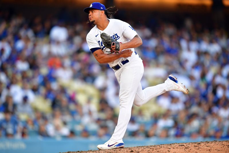 Jun 25, 2023; Los Angeles, California, USA; Los Angeles Dodgers relief pitcher Brusdar Graterol (48) throws against the Houston Astros during the tenth inning at Dodger Stadium. Mandatory Credit: Gary A. Vasquez-USA TODAY Sports