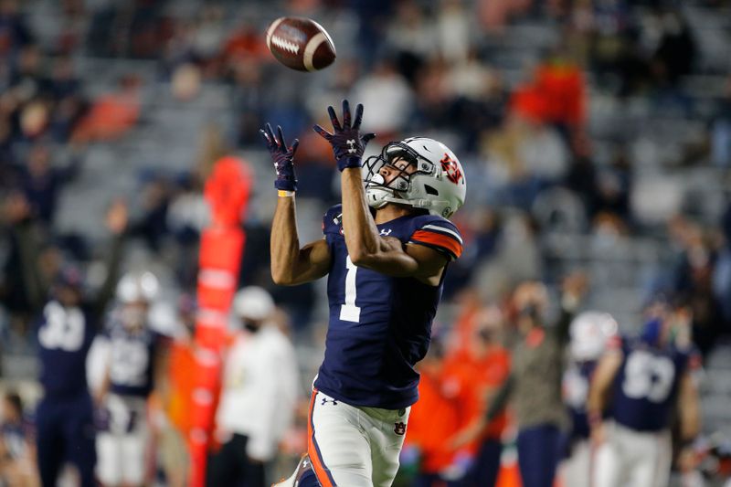 Auburn Tigers vs New Mexico Lobos: Payton Thorne's Passing Game to Shine