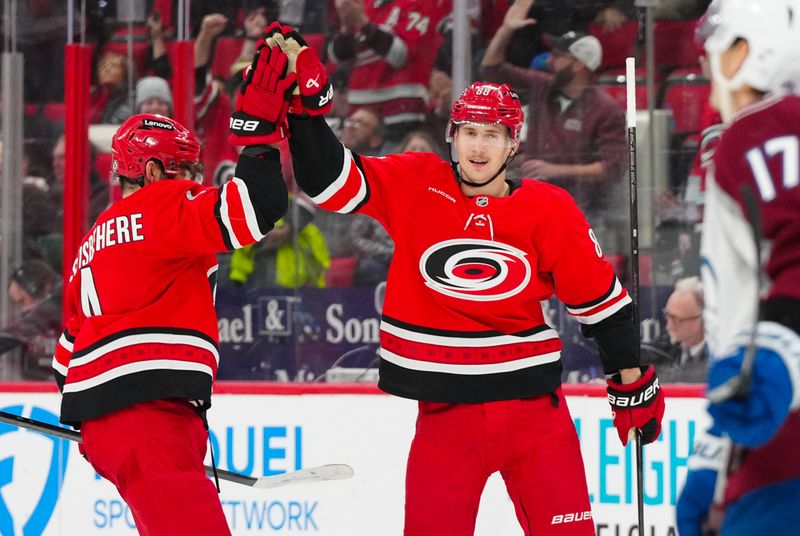 Dec 5, 2024; Raleigh, North Carolina, USA;  Carolina Hurricanes center Martin Necas (88) celebrates his goal with defenseman Shayne Gostisbehere (4) against the Colorado Avalanche during the third period at Lenovo Center. Mandatory Credit: James Guillory-Imagn Images