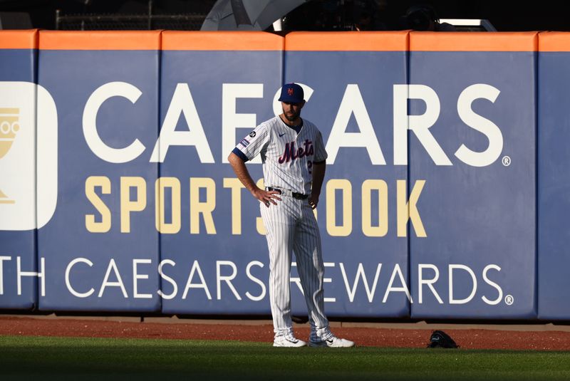 Oct 18, 2024; New York City, New York, USA; New York Mets pitcher David Peterson (23) warms up before a game against the Los Angeles Dodgers for game five of the NLCS for the 2024 MLB playoffs at Citi Field. Mandatory Credit: Vincent Carchietta-Imagn Images