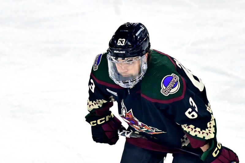 Dec 19, 2023; Tempe, Arizona, USA; Arizona Coyotes left wing Matias Maccelli (63) looks on in the first period against the Ottawa Senators at Mullett Arena. Mandatory Credit: Matt Kartozian-USA TODAY Sports