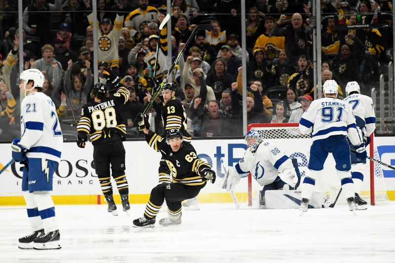 Feb 13, 2024; Boston, Massachusetts, USA; Boston Bruins left wing Brad Marchand (63) reacts after a goal by defenseman Charlie McAvoy (73) (not pictured) during the second period against the Tampa Bay Lightning at TD Garden. Mandatory Credit: Bob DeChiara-USA TODAY Sports