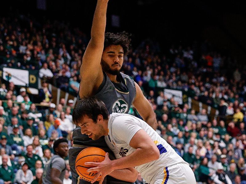 Feb 9, 2024; Fort Collins, Colorado, USA; San Jose State Spartans forward Diogo Seixas (23) controls the ball as Colorado State Rams guard Rashaan Mbemba (21) defends in the first half at Moby Arena. Mandatory Credit: Isaiah J. Downing-USA TODAY Sports