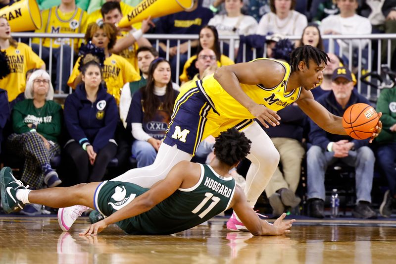 Feb 18, 2023; Ann Arbor, Michigan, USA;  Michigan Wolverines forward Tarris Reed Jr. (32) grabs a loose ball against Michigan State Spartans guard A.J. Hoggard (11) in the first half at Crisler Center. Mandatory Credit: Rick Osentoski-USA TODAY Sports