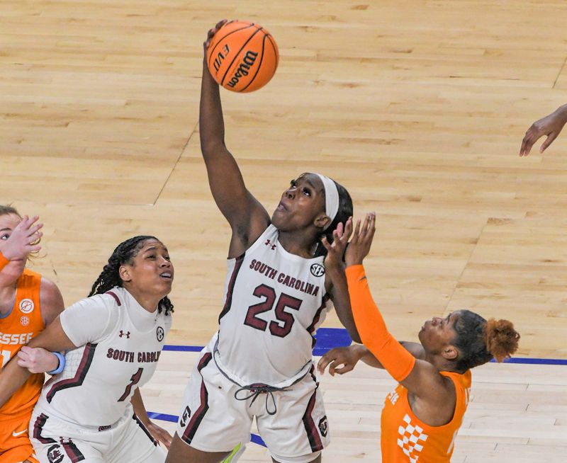 Mar 5, 2023; Greenville, SC, USA; South Carolina guard Raven Johnson (25) rebounds near Tennessee forward Caroline Striplin (11) during the second quarter of the SEC Women's Basketball Tournament at Bon Secours Wellness Arena. Mandatory Credit: Ken Ruinard-USA TODAY Sports