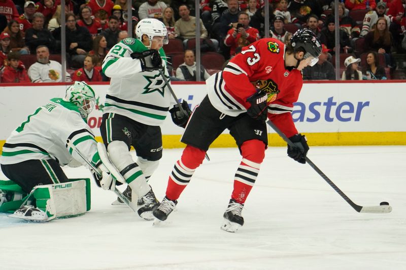 Nov 27, 2024; Chicago, Illinois, USA; Dallas Stars left wing Jason Robertson (21) defends Chicago Blackhawks left wing Lukas Reichel (73) during the first period at United Center. Mandatory Credit: David Banks-Imagn Images