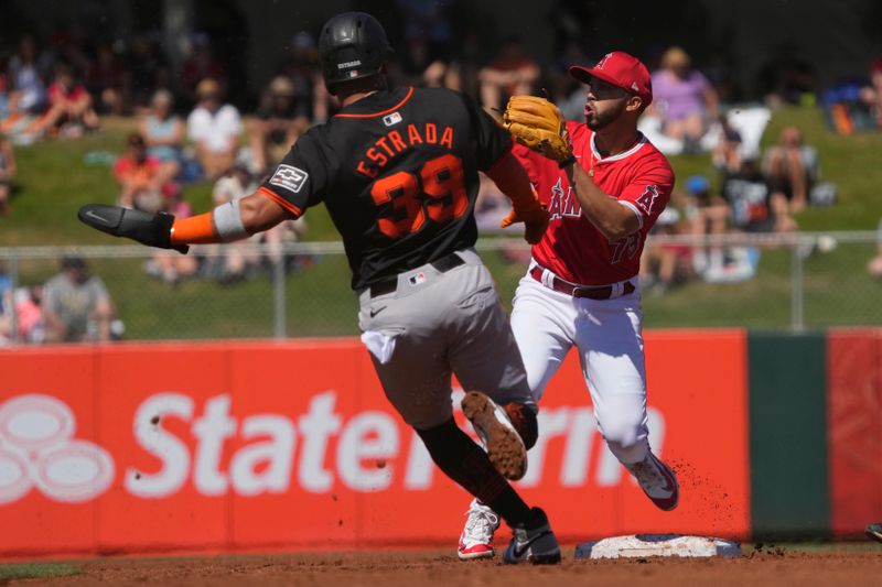 Mar 20, 2024; Tempe, Arizona, USA; Los Angeles Angels second baseman Livan Soto (73) gets the out on San Francisco Giants second baseman Thairo Estrada (39) in the first inning at Tempe Diablo Stadium. Mandatory Credit: Rick Scuteri-USA TODAY Sports