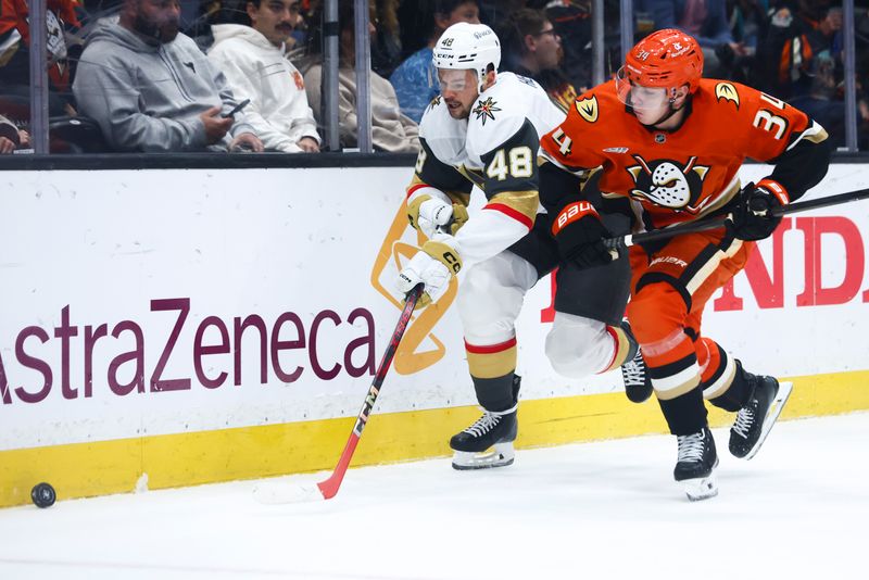 Nov 13, 2024; Anaheim, California, USA; Vegas Golden Knights center Tomas Hertl (48) and Anaheim Ducks defenseman Pavel Mintyukov (34) battle for the puck  during the first period of a hockey game at Honda Center. Mandatory Credit: Jessica Alcheh-Imagn Images