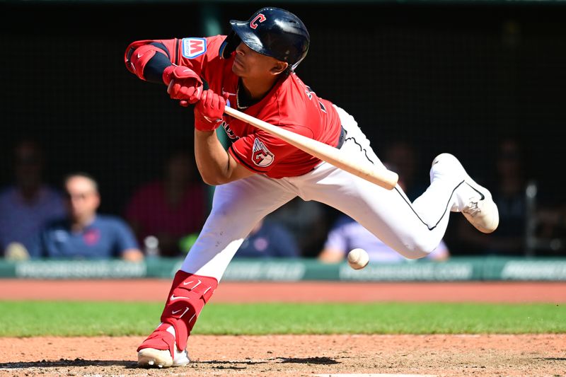 Aug 28, 2024; Cleveland, Ohio, USA; Cleveland Guardians catcher Bo Naylor (23) is hit by a pitch during the eighth inning against the Kansas City Royals at Progressive Field. Mandatory Credit: Ken Blaze-USA TODAY Sports