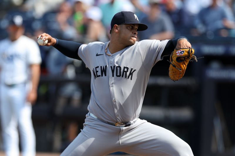 Apr 20, 2025; Tampa, Florida, USA; New York Yankees pitcher Fernando Cruz (63) throws a pitch against the Tampa Bay Rays in the eighth inning at George M. Steinbrenner Field. Mandatory Credit: Nathan Ray Seebeck-Imagn Images