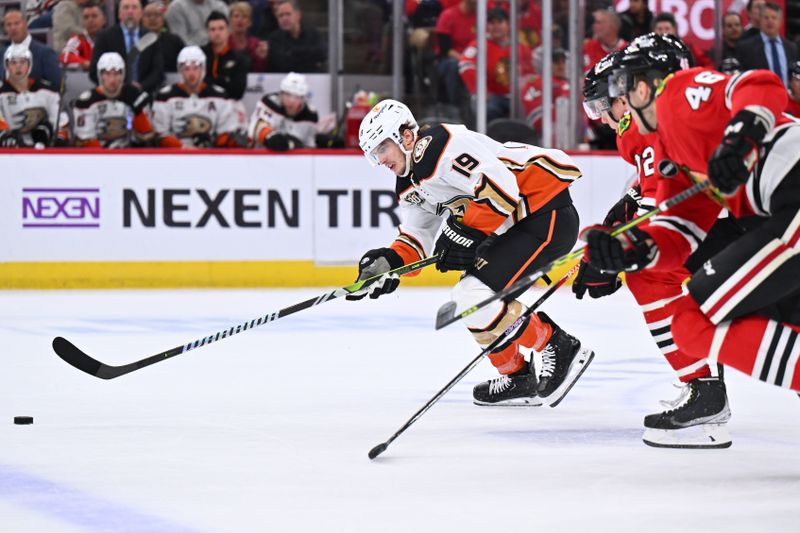 Dec 7, 2023; Chicago, Illinois, USA; Anaheim Ducks forward Troy Terry (19) skates out in front of a pair of Chicago Blackhawks to chase down a loose puck in the second period at United Center. Mandatory Credit: Jamie Sabau-USA TODAY Sports