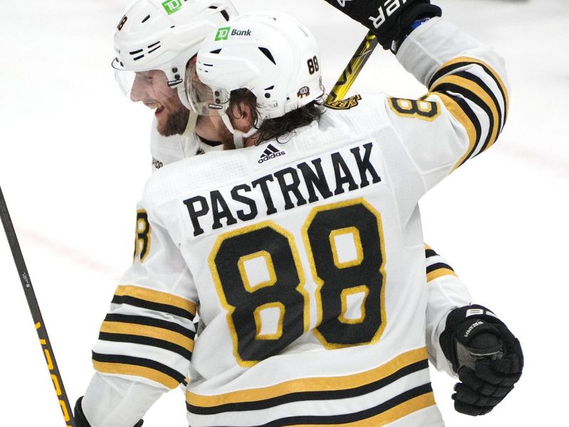 Mar 26, 2024; Sunrise, Florida, USA; Boston Bruins center Pavel Zacha (18) celebrates his goal with right wing David Pastrnak (88) against the Florida Panthers during the third period at Amerant Bank Arena. Mandatory Credit: Jim Rassol-USA TODAY Sports