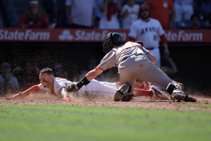 Apr 20, 2025; Anaheim, California, USA; Los Angeles Angels shortstop Zach Neto (9) beats a throw to San Francisco Giants catcher Sam Huff (23) to score on a walk-off double by center fielder Jo Adell (not pictured) at Angel Stadium. Mandatory Credit: Kirby Lee-Imagn Images