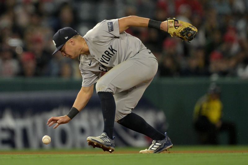 May 30, 2024; Anaheim, California, USA;  New York Yankees shortstop Anthony Volpe (11) is charged with an error as he gets handcuffed on a ball hit by Los Angeles Angels right fielder Jo Adell (7) in the ninth inning at Angel Stadium. Mandatory Credit: Jayne Kamin-Oncea-USA TODAY Sports