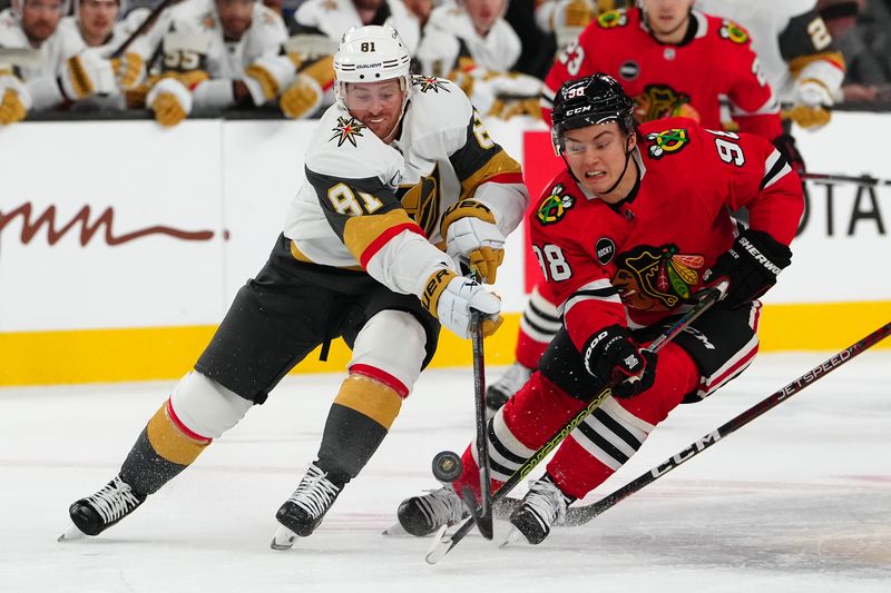 Oct 27, 2023; Las Vegas, Nevada, USA; Vegas Golden Knights right wing Jonathan Marchessault (81) chops the puck away from Chicago Blackhawks center Connor Bedard (98) during the first period at T-Mobile Arena. Mandatory Credit: Stephen R. Sylvanie-USA TODAY Sports