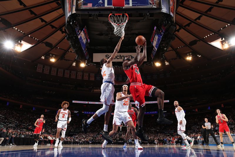 NEW YORK, NY - NOVEMBER 13: Patrick Williams #44 of the Chicago Bulls drives to the basket during the game against the New York Knicks on November 13, 2024 at Madison Square Garden in New York City, New York.  NOTE TO USER: User expressly acknowledges and agrees that, by downloading and or using this photograph, User is consenting to the terms and conditions of the Getty Images License Agreement. Mandatory Copyright Notice: Copyright 2024 NBAE  (Photo by Joe Murphy/NBAE via Getty Images)