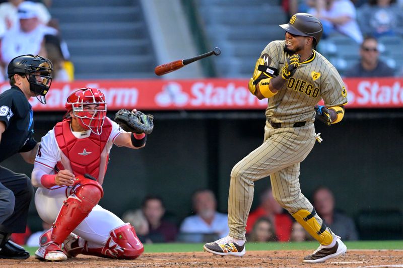 Jun 4, 2024; Anaheim, California, USA;  San Diego Padres second baseman Luis Arraez (4) drops his bat after he was hit by a pitch in the third inning against the Los Angeles Angels at Angel Stadium. Mandatory Credit: Jayne Kamin-Oncea-USA TODAY Sports