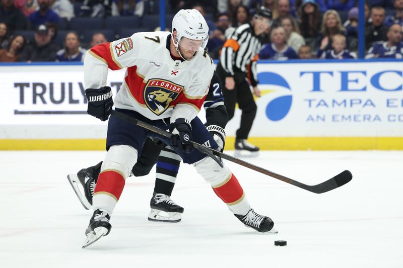 Feb 17, 2024; Tampa, Florida, USA;  Florida Panthers defenseman Dmitry Kulikov (7) controls the puck against the Tampa Bay Lightning in the second period at Amalie Arena. Mandatory Credit: Nathan Ray Seebeck-USA TODAY Sports