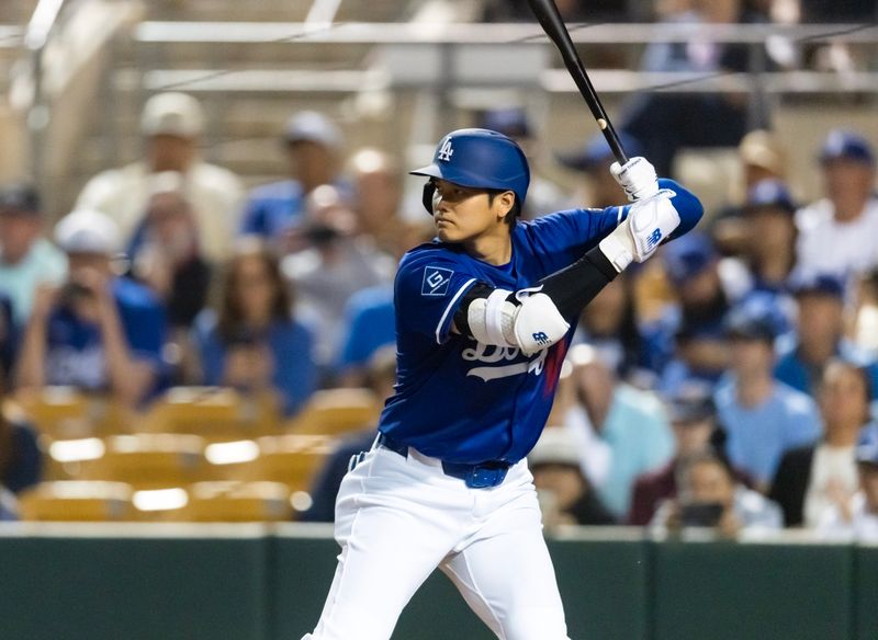 Feb 28, 2025; Phoenix, Arizona, USA; Los Angeles Dodgers designated hitter Shohei Ohtani (17) against the Los Angeles Angels during a spring training game at Camelback Ranch-Glendale. Mandatory Credit: Mark J. Rebilas-Imagn Images