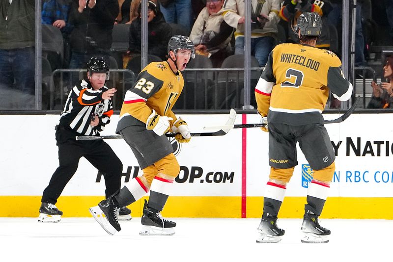 Oct 16, 2025; Las Vegas, Nevada, USA; Vegas Golden Knights left wing Cole Reinhardt (23) celebrates with Vegas Golden Knights defenseman Zach Whitecloud (2) after scoring a goal against the Boston Bruins during the first period at T-Mobile Arena. Mandatory Credit: Stephen R. Sylvanie-Imagn Images